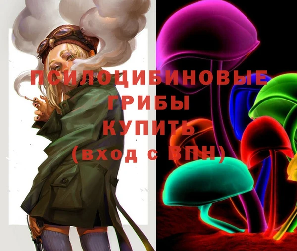 mdpv Верхний Тагил